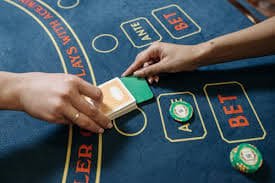 Sic Bo live dealer managing tournament round at toto313.net
